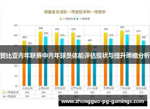 赞比亚青年联赛中青年球员体能评估现状与提升策略分析