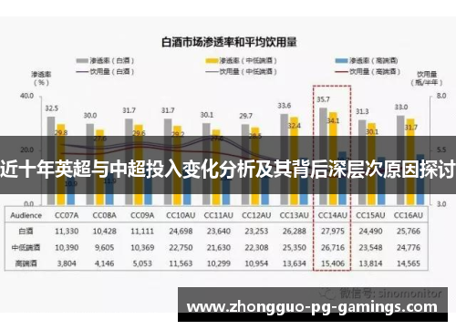 近十年英超与中超投入变化分析及其背后深层次原因探讨 近十年英超与中超投入变化分析及其背后深层次原因探讨