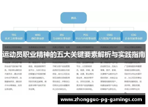 运动员职业精神的五大关键要素解析与实践指南